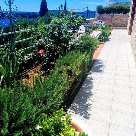 Apartments Anamaria Dubrovnik Buitenkant foto