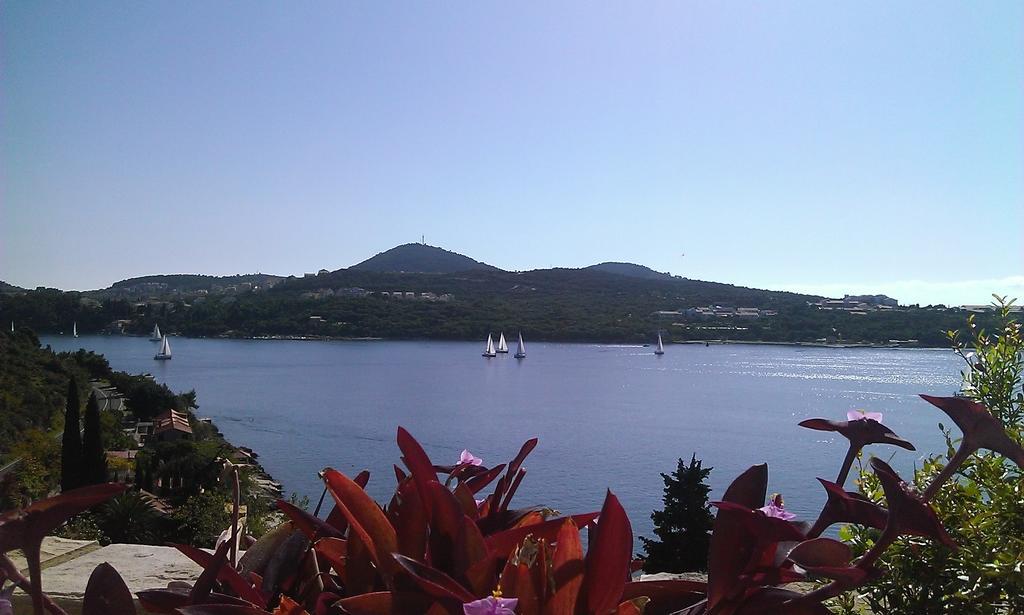 Anamaria Dubrovnik